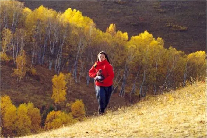 从前慢丨破瓷重圆,碎片逢春,掩埋在旧时光里的锔瓷手艺